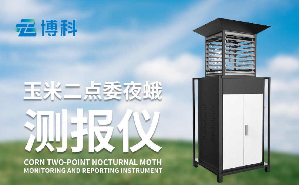 玉米二點(diǎn)委夜蛾的危害性和治理手段，玉米二點(diǎn)委夜蛾監(jiān)測儀